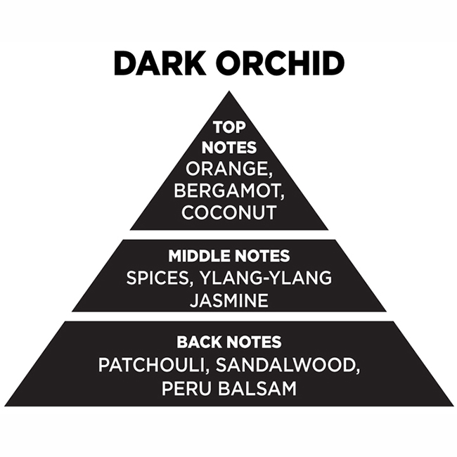 Αρωματικό Wax Melt Σόγιας Themagio Dark Orchid 55gr 1 Τεμάχιο - Image 4