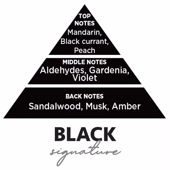 Αρωματικό Αυτοκινήτου Κρεμαστό Feral Basics Collection Black Signature 1 Τεμάχιο - Image 2