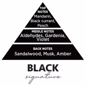 Σετ Αρωματικών Αυτοκινήτου Feral Basics Collection Black 10 Τεμάχια