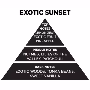 Αρωματικό Χώρου Με Sticks – Diffuser Themagio Exotic Sunset 100ml 1 Τεμάχιο