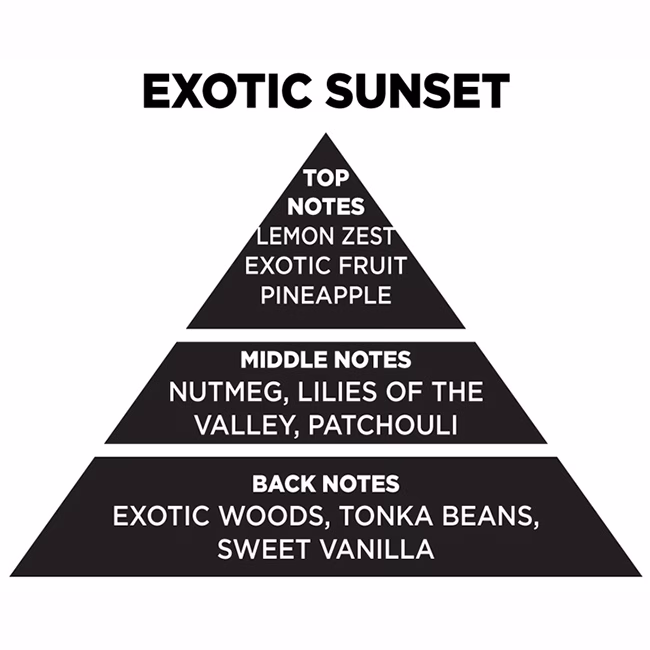 Αρωματικό Χώρου Με Sticks - Diffuser Themagio Exotic Sunset 100ml 1 Τεμάχιο - Image 2