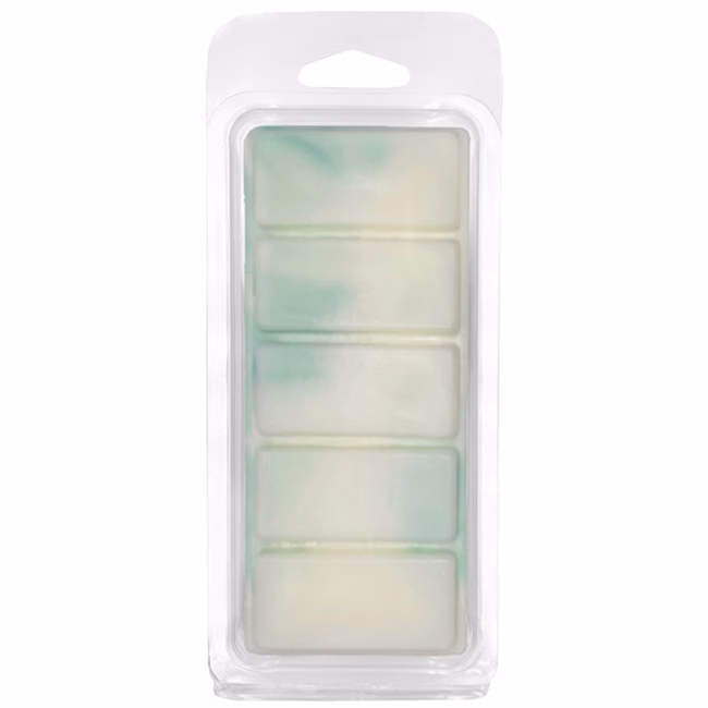 Αρωματικό Wax Melt Σόγιας Themagio Green Apple & Cinnamon 55gr 1 Τεμάχιο - Image 4