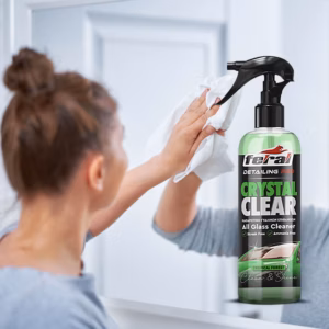 Καθαριστικό Τζαμιών Tropical Forest Feral Detailing Pro 750ml 1 Τεμάχιο