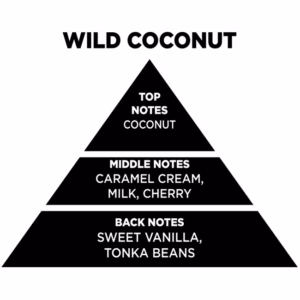 Αρωματικό Χώρου Με Sticks – Diffuser Themagio Wild Coconut 100ml 1 Τεμάχιο