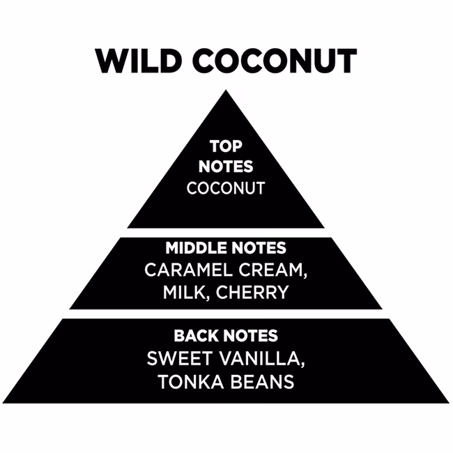 Αρωματικό Χώρου Με Sticks - Diffuser Themagio Wild Coconut 100ml 1 Τεμάχιο - Image 2