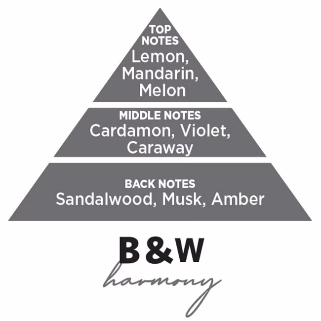 Αρωματικό Αυτοκινήτου Κρεμαστό Feral Basics Collection Black & White Harmony 1 Τεμάχιο - Image 4