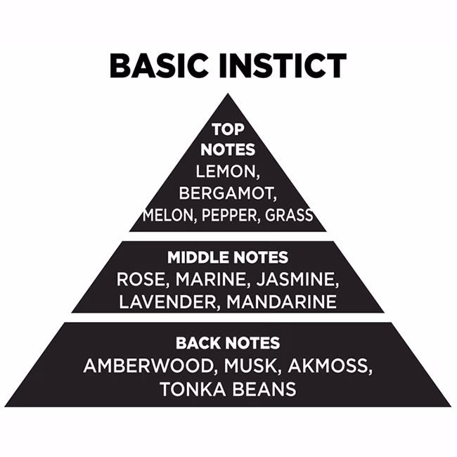 Αρωματικό Κερί Σόγιας Themagio Basic Instict 300gr 1 Τεμάχιο - Image 2
