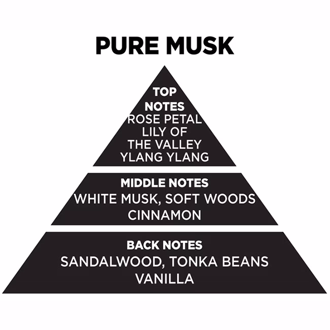 Αρωματικό Χώρου Με Sticks - Diffuser Themagio Pure Musk 200ml 1 Τεμάχιο - Image 3