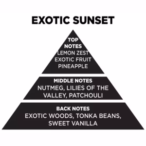 Αρωματικό Χώρου Με Sticks – Diffuser Themagio Exotic Sunset 200ml 1 Τεμάχιο
