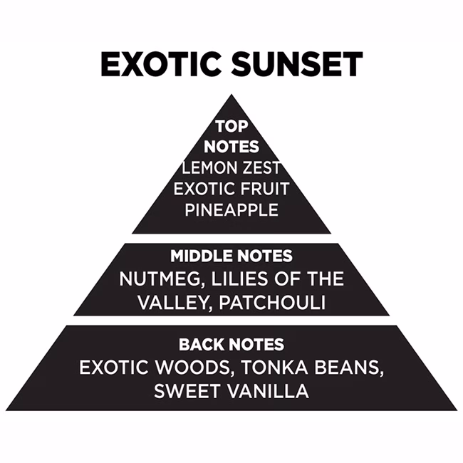 Αρωματικό Χώρου Με Sticks - Diffuser Themagio Exotic Sunset 200ml 1 Τεμάχιο - Image 2