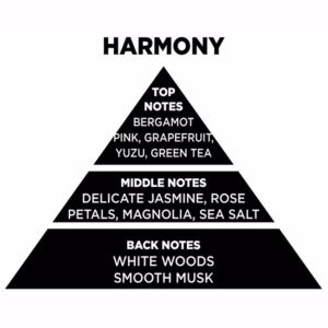 Αρωματικό Χώρου Με Sticks – Diffuser Themagio Harmony 200ml 1 Τεμάχιο