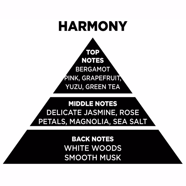 Αρωματικό Χώρου Με Sticks - Diffuser Themagio Harmony 200ml 1 Τεμάχιο - Image 2