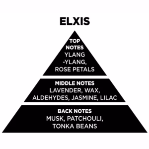 Αρωματικό Χώρου Με Sticks – Diffuser Themagio Elxis 100ml 1 Τεμάχιο