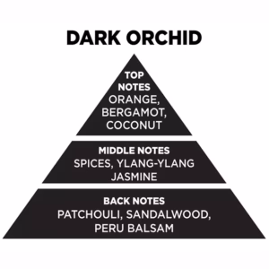 Αρωματικό Χώρου Με Sticks – Diffuser Themagio Dark Orchid 100ml 1 Τεμάχιο