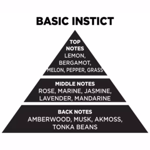 Αρωματικό Χώρου Με Sticks – Diffuser Themagio Basic Instict 100ml 1 Τεμάχιο