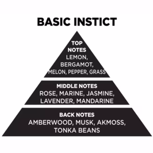 Αρωματικό Χώρου Με Sticks – Diffuser Themagio Basic Instict 200ml 1 Τεμάχιο