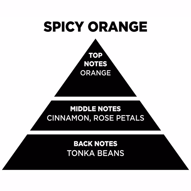 Αρωματικό Χώρου Με Sticks - Diffuser Themagio Spicy Orange 200ml 1 Τεμάχιο - Image 3